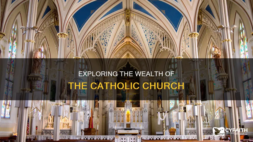 how much money does the catholic chuich have