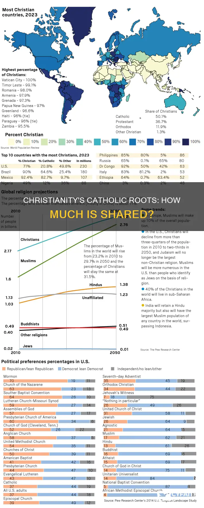 how much of christianity is catholic