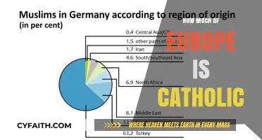 The Catholic Faith in Europe: Prevalence and Influence