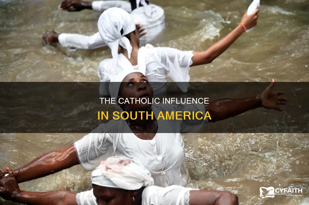 how much of south america is catholic