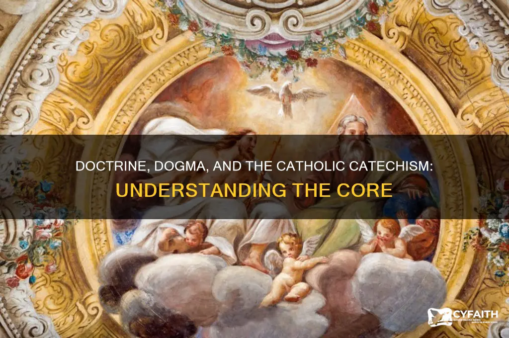 how much of the catholic catechism is doctrine and dogma