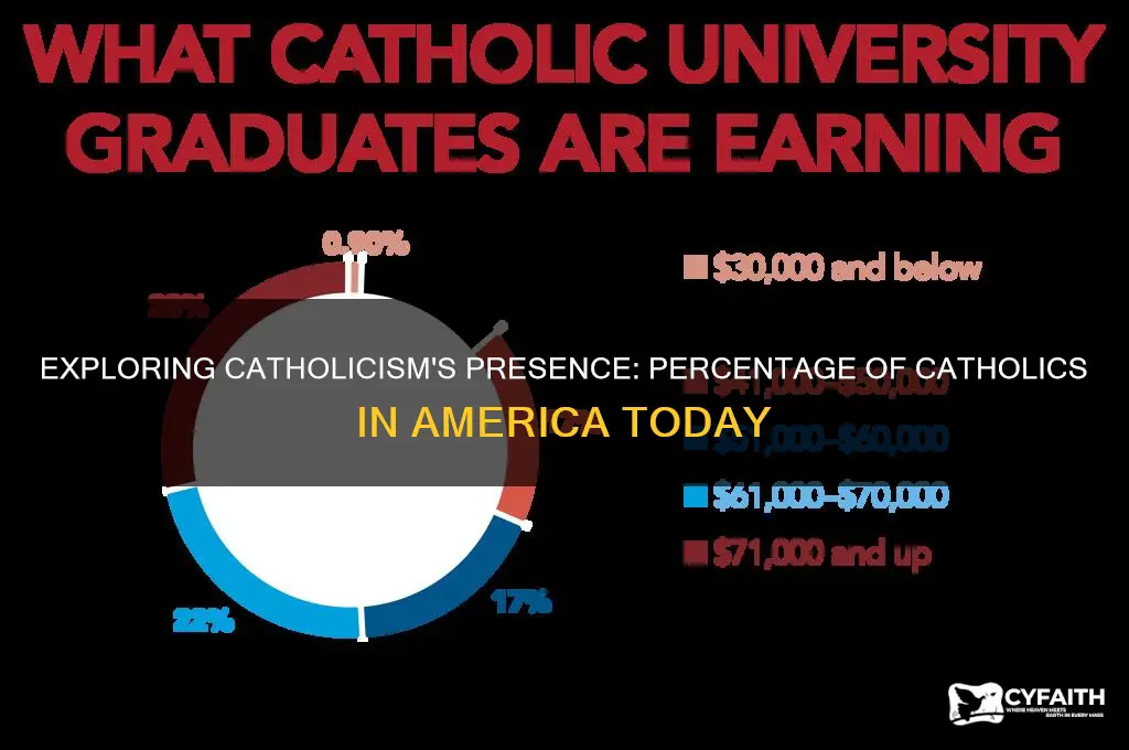 how much of the population is catholic in america
