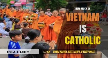 Catholic Faith in Vietnam: Exploring Religious Diversity