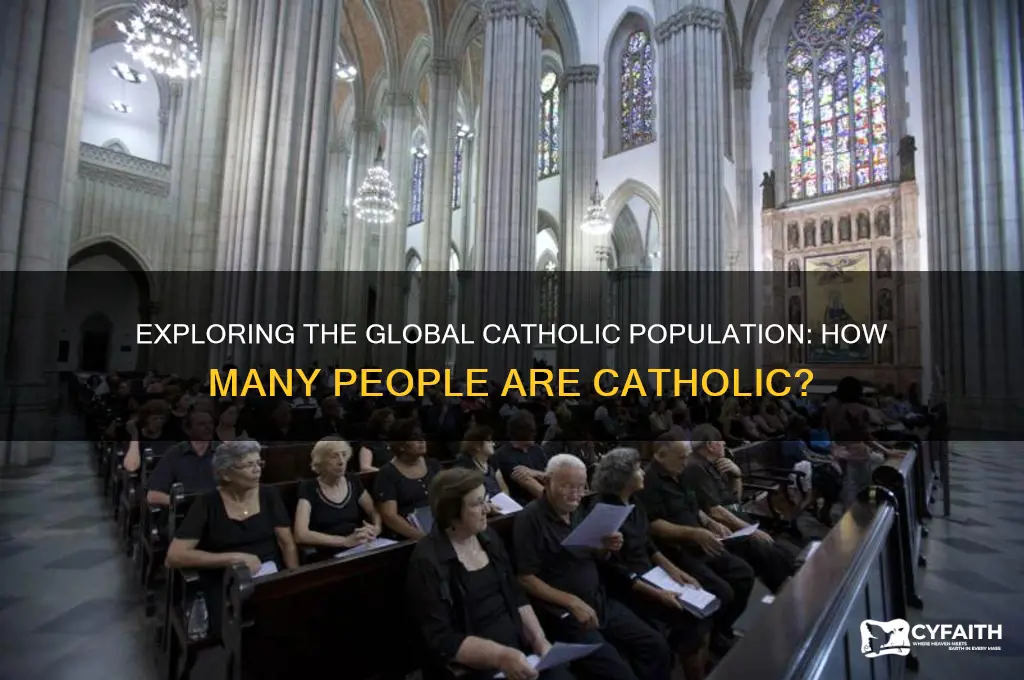 how much people are catholic