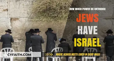 Orthodox Jews' Political Influence in Israel: Power Dynamics Explored