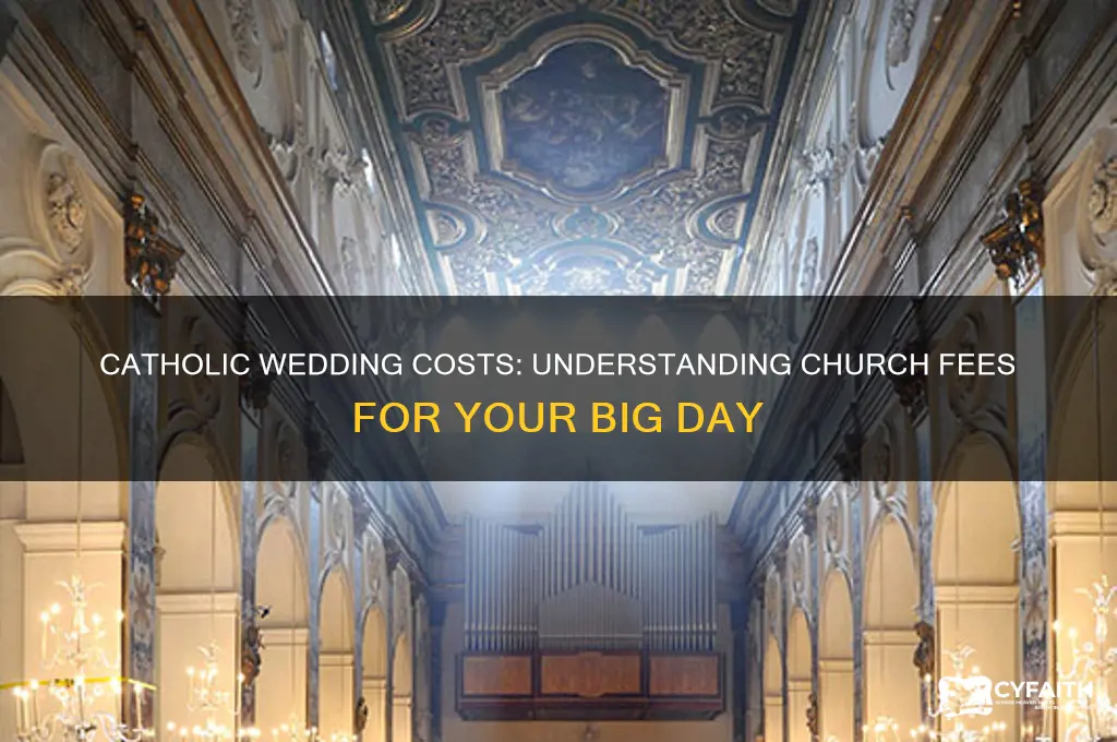 how much to pay to catholic churhc for wedding