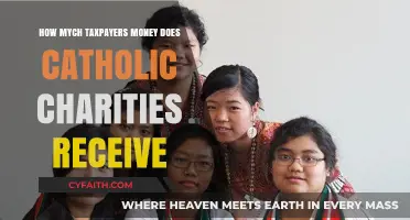 Taxpayer Money and Catholic Charities: How Much is Too Much?