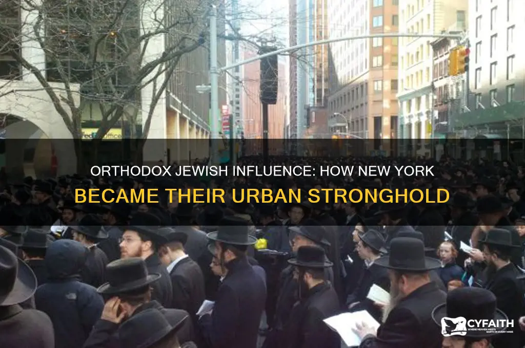 how new york became owned by orthodox jews