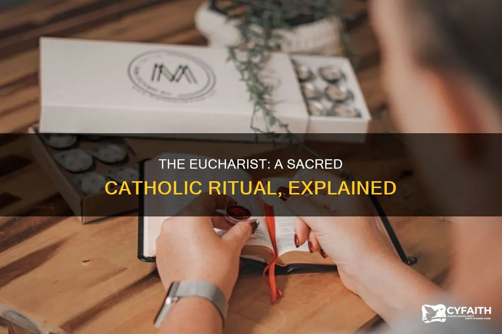how often do catholics celebrate the eucharist