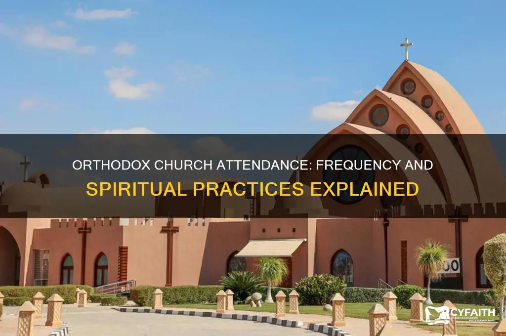 how often do orthodox go to church
