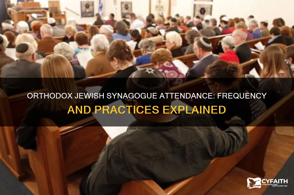 how often do orthodox jews go to synagogue