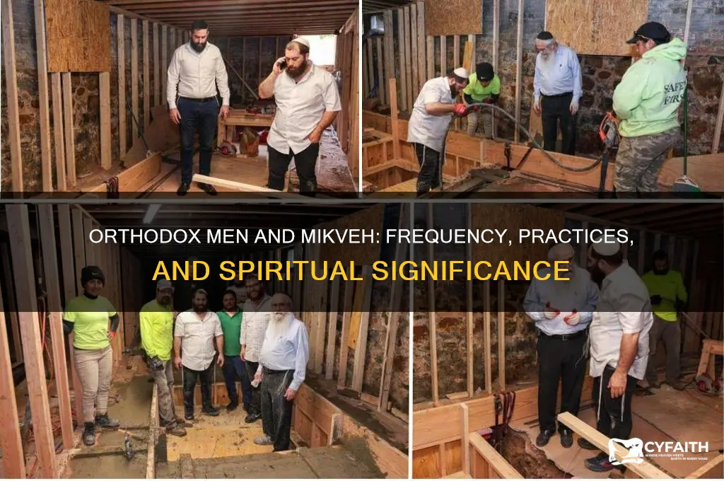how often do orthodox men use the mikveh
