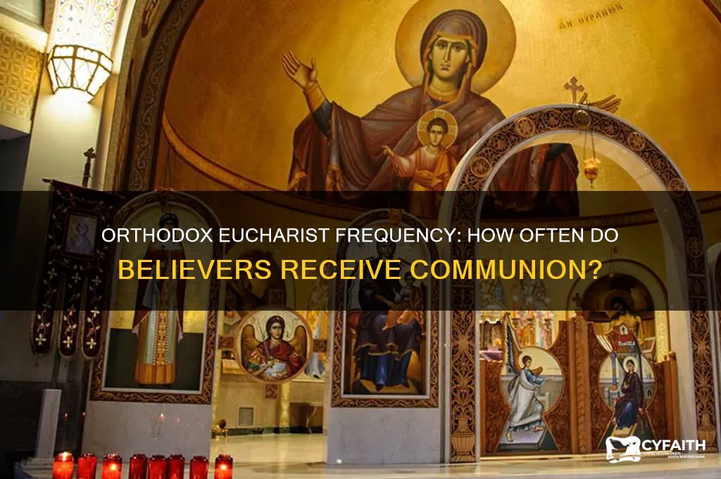 how often do orthodox receive eucharist