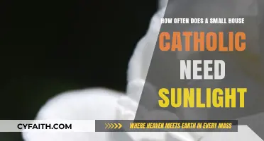 Sunlight Needs for Small House Catholic Plants: A Simple Guide