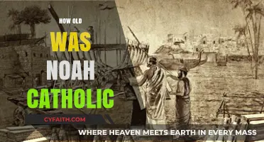Exploring Noah's Age in Catholic Tradition: A Historical Perspective
