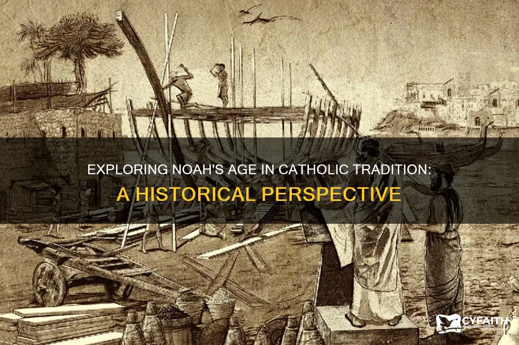 how old was noah catholic