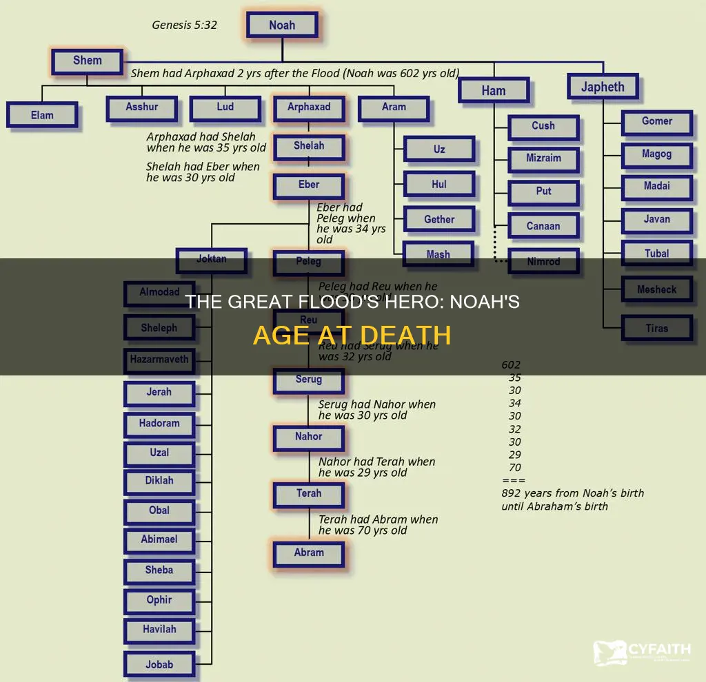 how old was noah when he died catholic