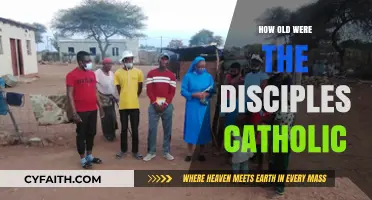 The Age of Apostles: A Catholic Perspective