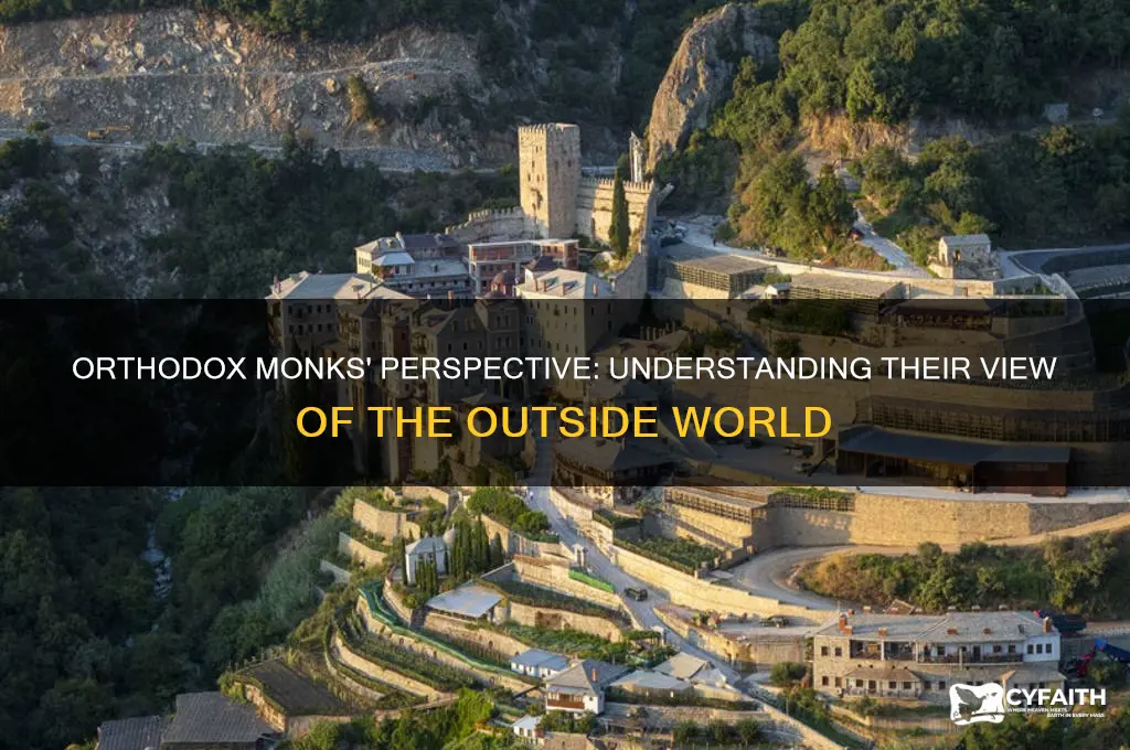 how orthodox monks view others