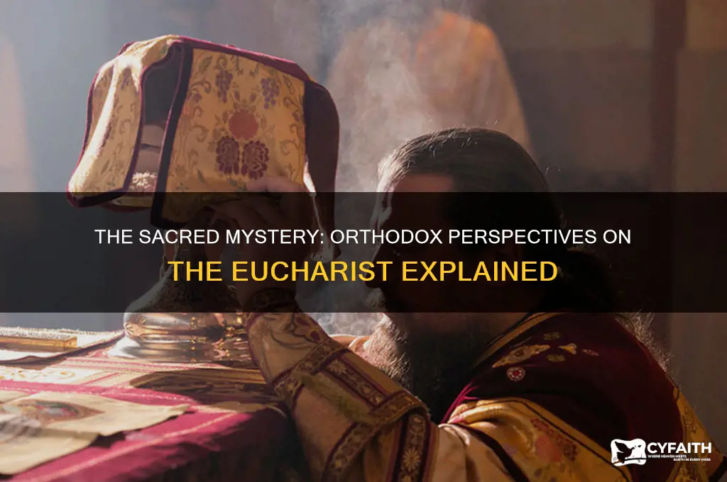 how orthodox people view eucharist