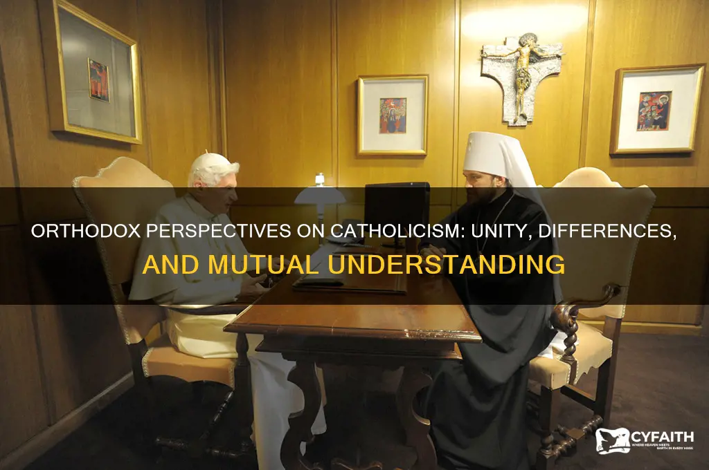 how orthodox see catholics