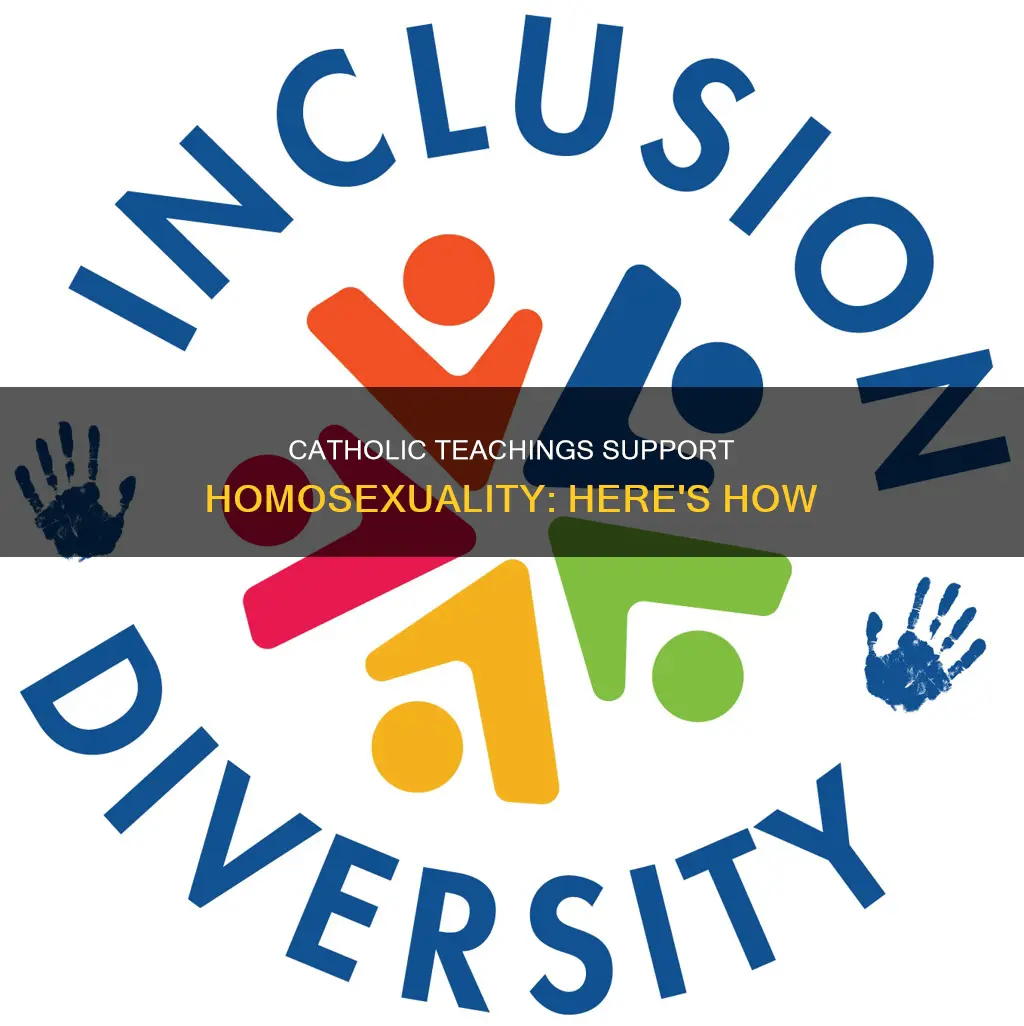how ot argue pro homosexualitiy using catholic