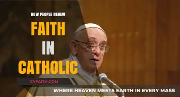 Renewing Catholic Faith: A Personal Journey