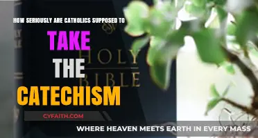 Understanding the Catechism: A Catholic's Guide to Faithful Adherence