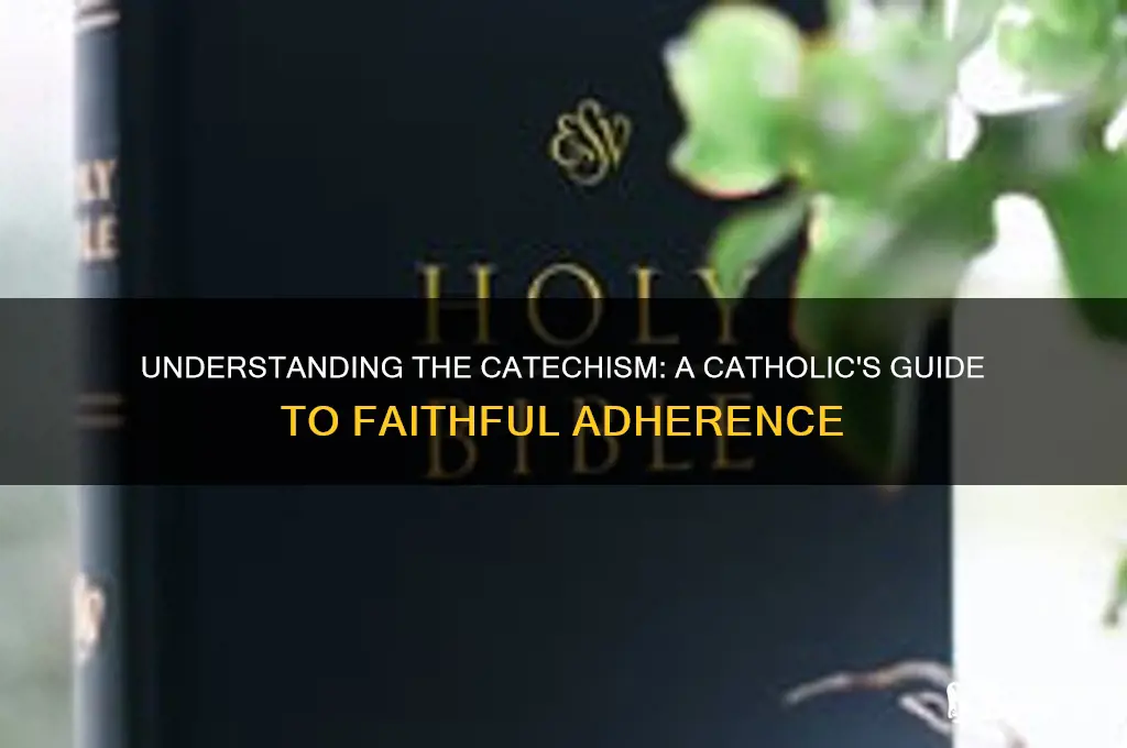 how seriously are catholics supposed to take the catechism