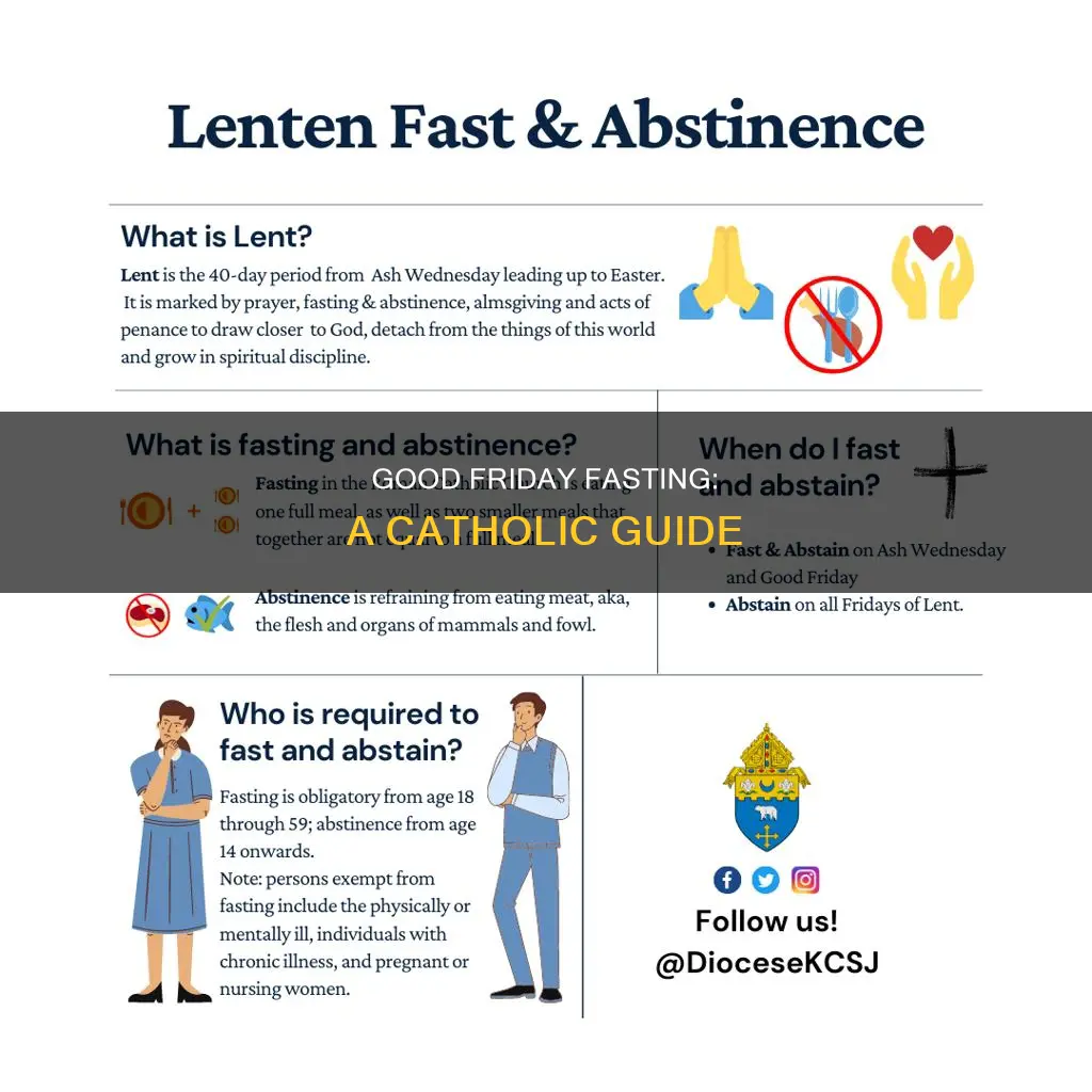 how should catholics fat on good friday