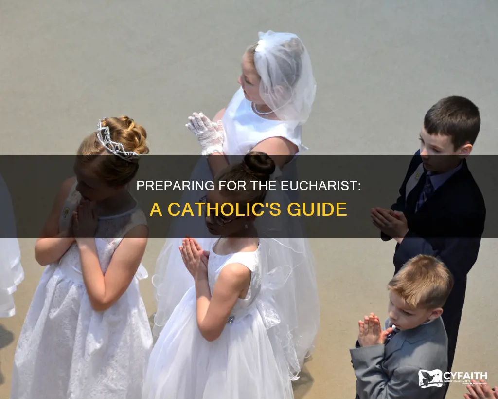 how should catholics prepare to receive the eucharist