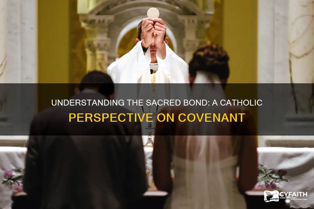 how should catholics understand covenant