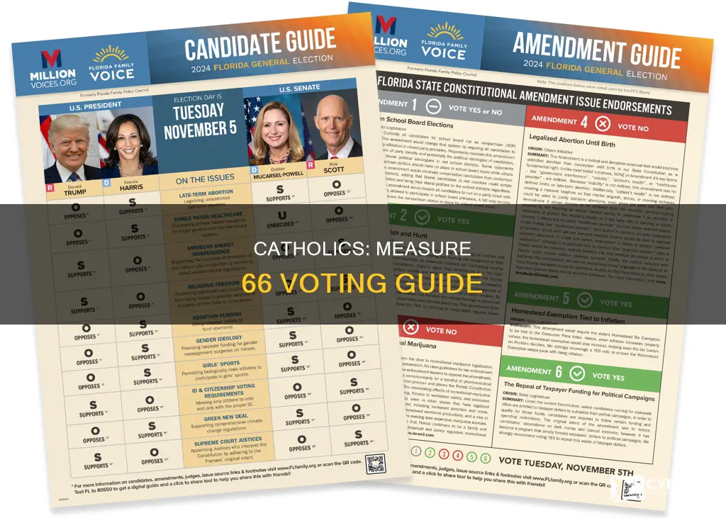 how should catholics vote on measure 66