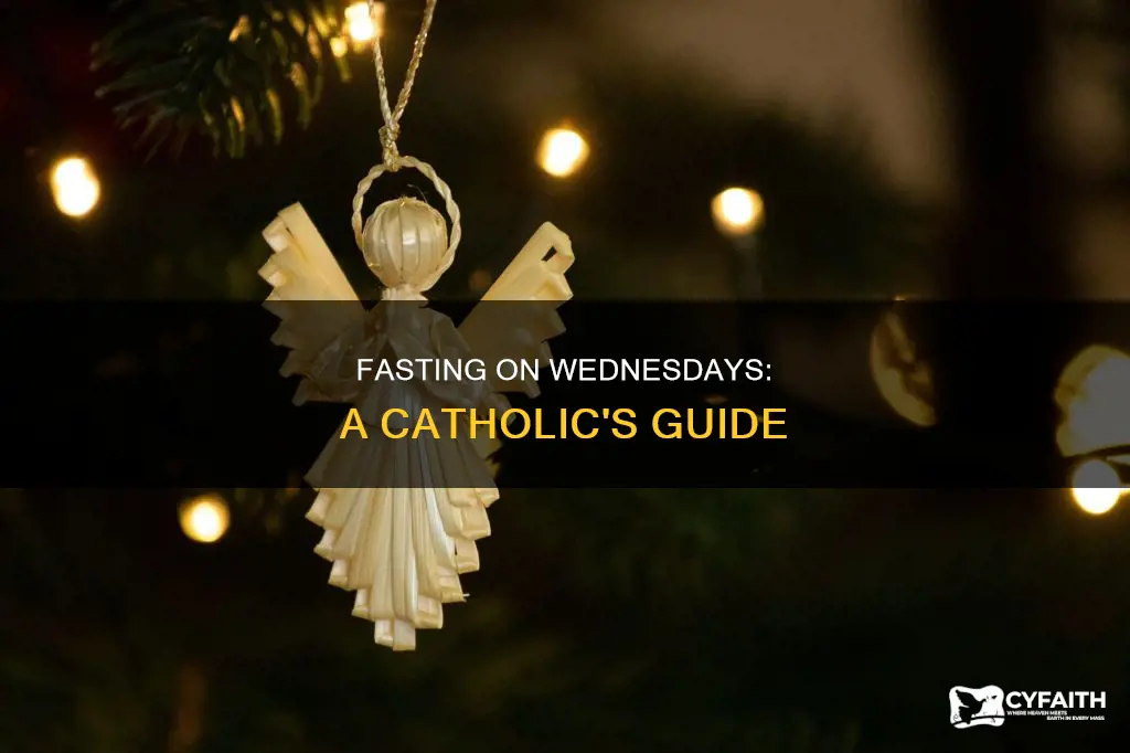 how should i fast on wednesdays catholic