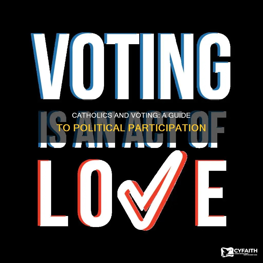 how should i vote as a catholic