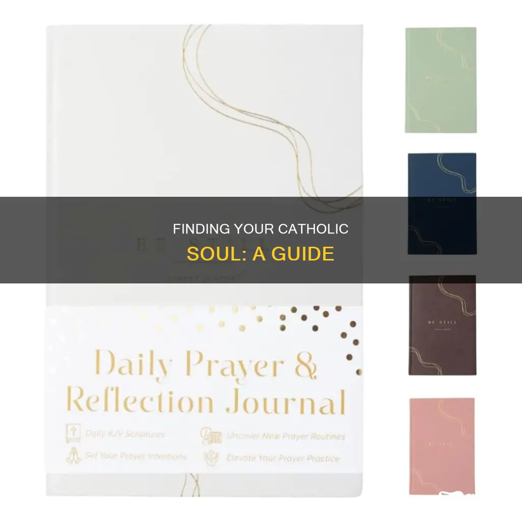 how should we do the soul searching catholic