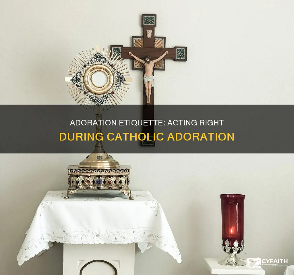 how should you act at adoration catholic answers