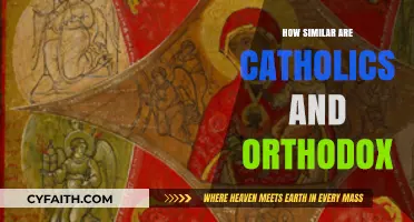 Catholics and Orthodox: What Are the Similarities?