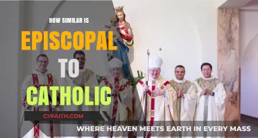 Exploring Catholic and Episcopal Similarities and Differences