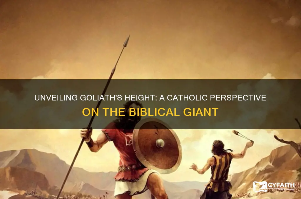 how tall was goliath catholic