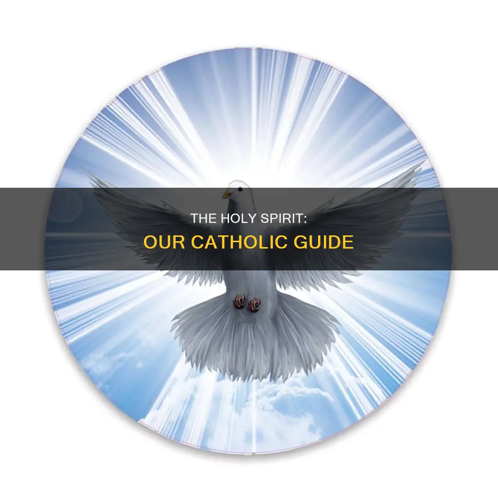 how the holy spirit guides us catholic