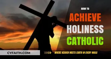 Pursuing Catholic Holiness: Practical Steps for a Grace-Filled Life
