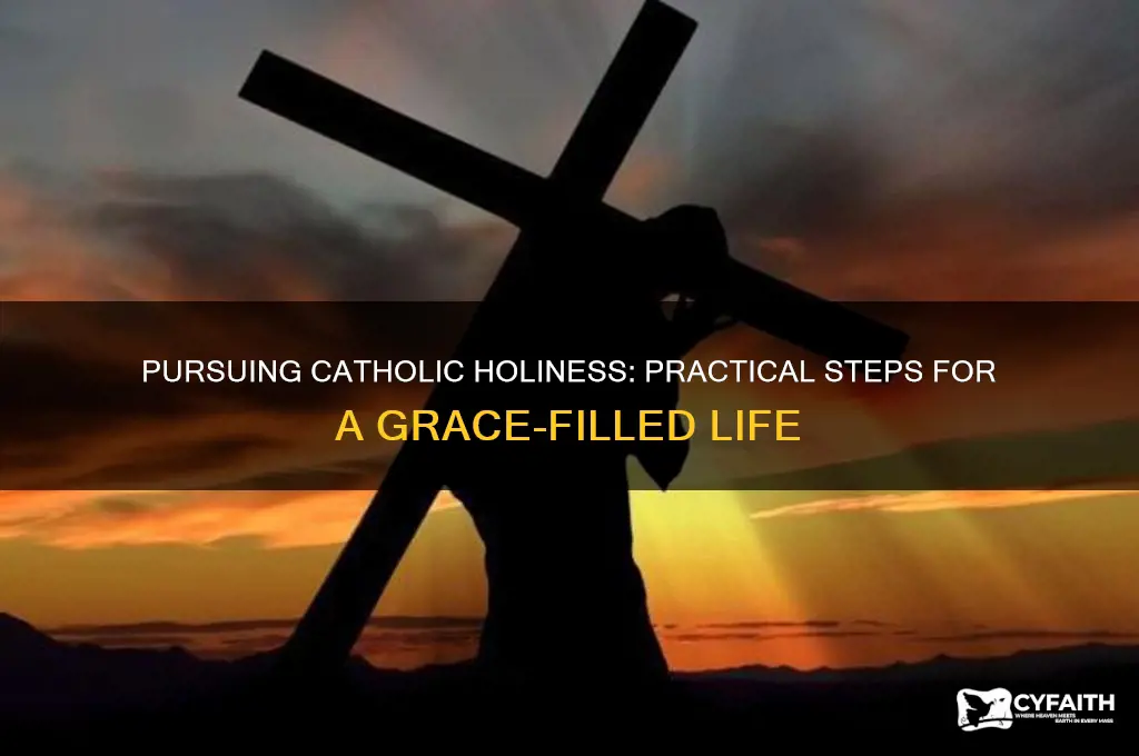 how to achieve holiness catholic