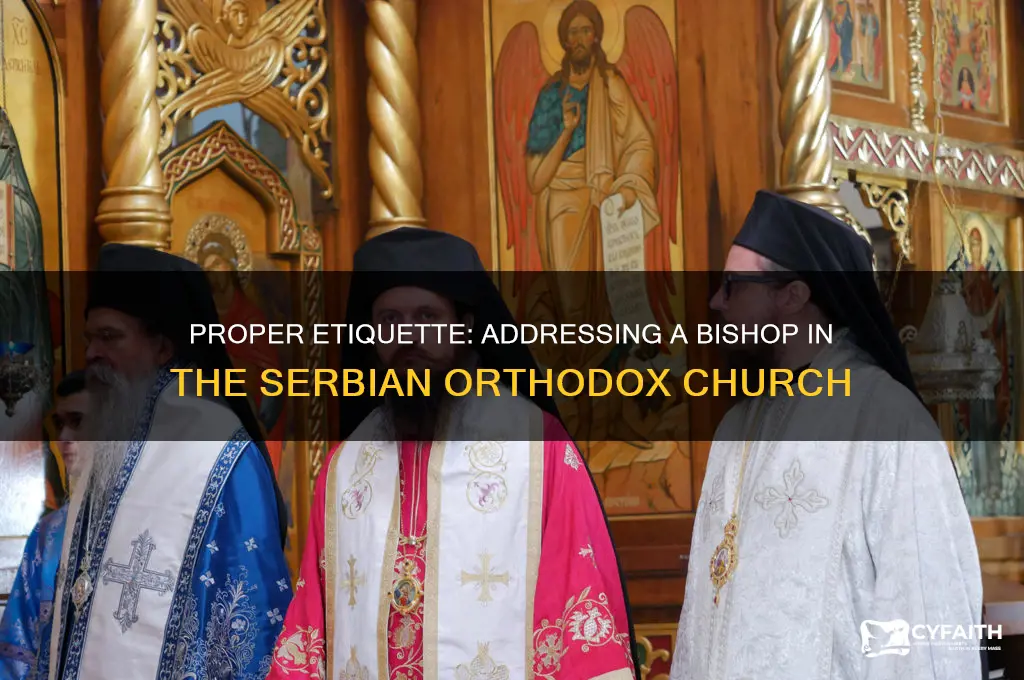 how to address a bishop in the orthodox serbian church