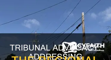 how to address regional advocate of tribunal catholic