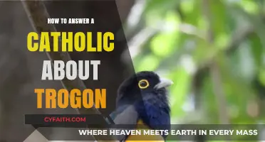 Understanding the Trogon: Catholic Answers Explored