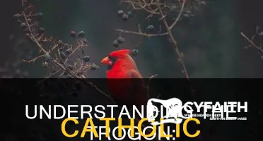 how to answer a catholic about trogon
