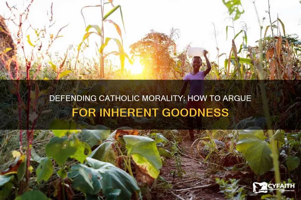 how to argue that something is inherently good catholic