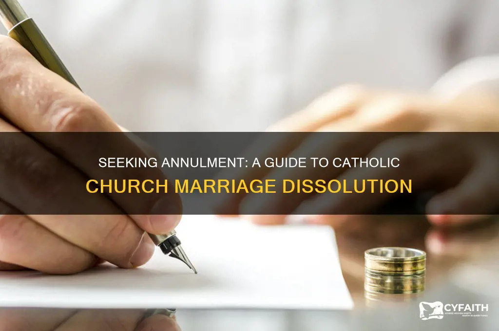 how to ask the catholic churh for anulment of marriage