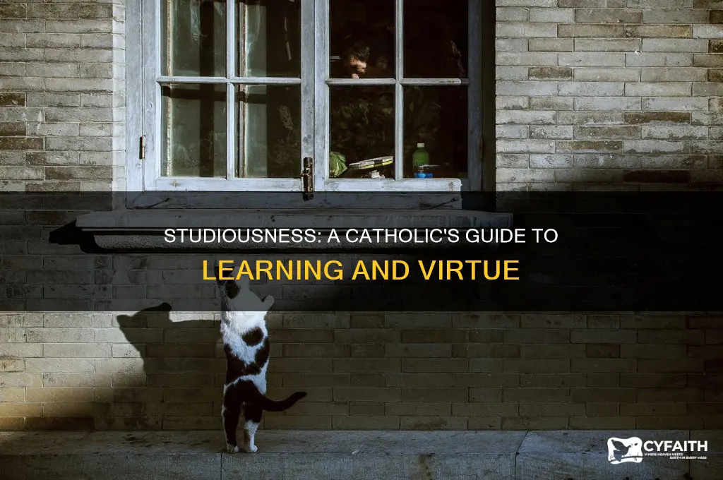 how to attain the virtue of studiousness catholic